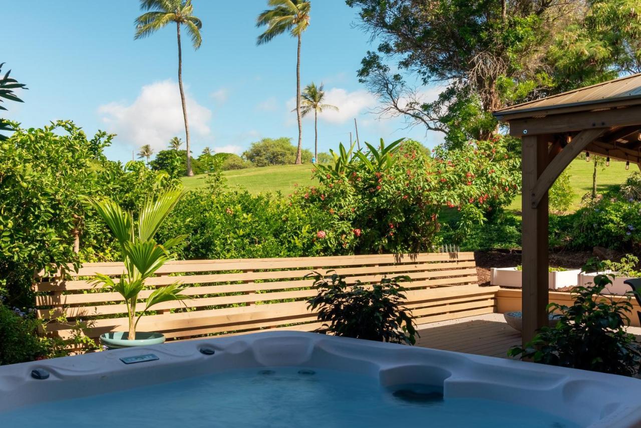 Noahs Hideaway Luxury B&B 拉海纳 外观 照片